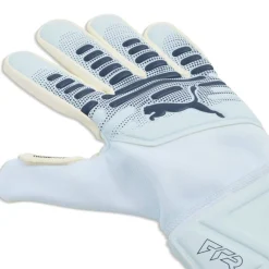 Future Match Goalkeeper Gloves Adults