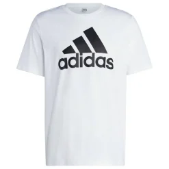 Graphic Logo T-Shirt Mens
