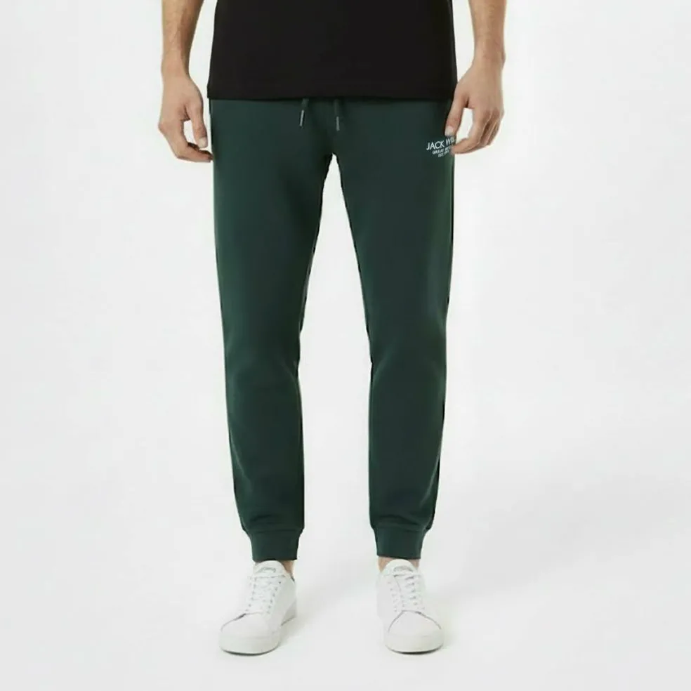 Haydor Logo Joggers Mens