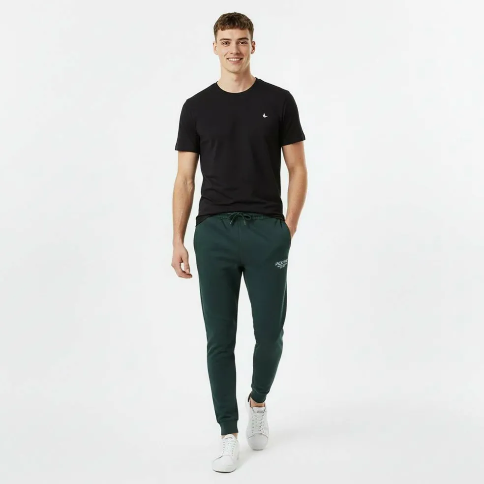 Haydor Logo Joggers Mens