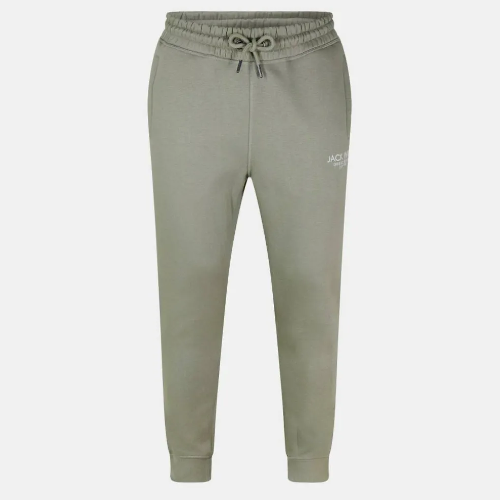 Haydor Logo Joggers Mens