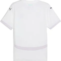 Iceland Away Shirt 2025 Adults