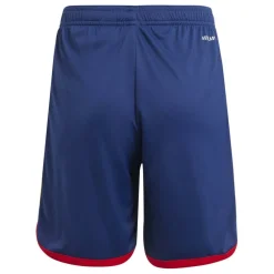 Kids adidas Olympique Lyonnais Third Shorts 22/23