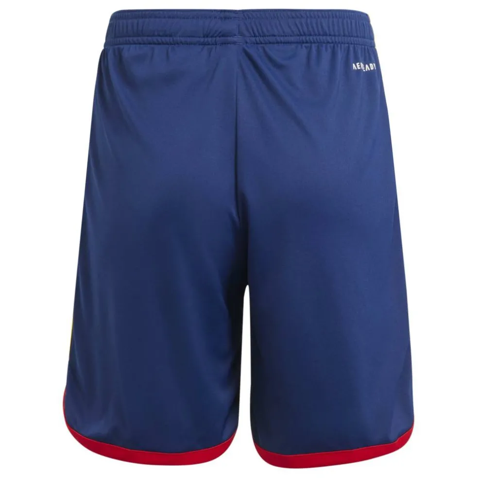 Kids adidas Olympique Lyonnais Third Shorts 22/23