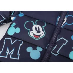 Kids' Hooded Long Sleeve Short Puffer Jacket