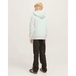 Kids' Varsity Logo Pull Over Hoodie
