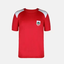 Kids Wales Short Sleeve T-Shirt