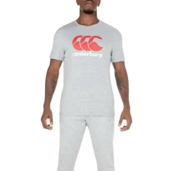 Large Logo T Shirt Mens