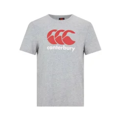 Large Logo T Shirt Mens