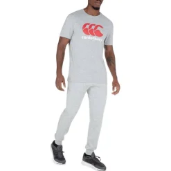 Large Logo T Shirt Mens