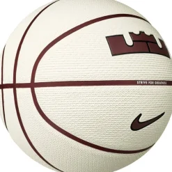 Lebron Playground