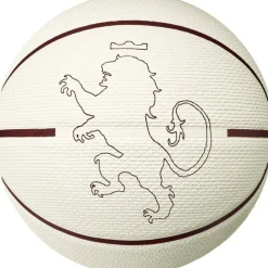Lebron Playground