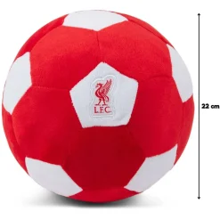 Licensed Plush Size 5 Football 22 cm