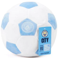 Licensed Plush Size 5 Football 22 cm