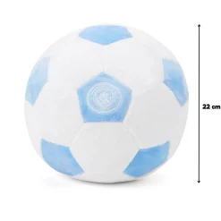 Licensed Plush Size 5 Football 22 cm
