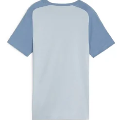 Mcfc Casuals Tee T-Shirt Mens