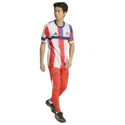 Mens adidas Bayern Munich Pre-Match Shirt 25/26
