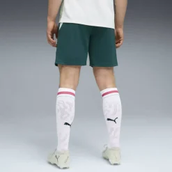 Mens Austria Away Short World Cup 2026™