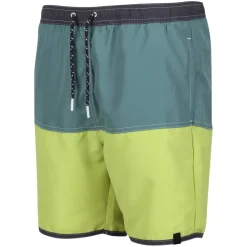Men's Benicio Swim Shorts