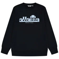 Men's Crew Sweatshirt