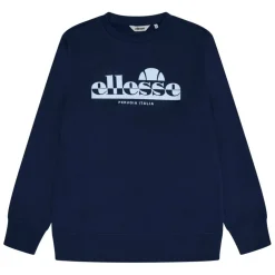 Men's Crew Sweatshirt