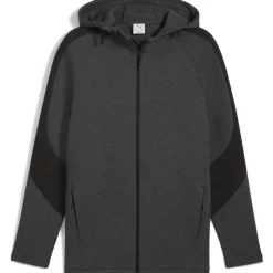 Men's Evostripe Hoodie