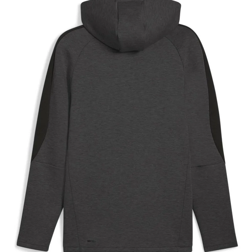 Men's Evostripe Hoodie