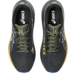 Men's Gt 2000 Gtx Off-Road Trail Running Shoes