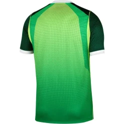 Men's Nigeria 2026 Football Shirt