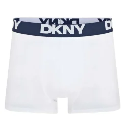 Mens 5 Pack Trunks Portland