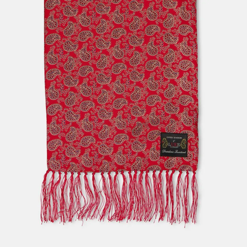 Men's Paisley Midweight Scarf