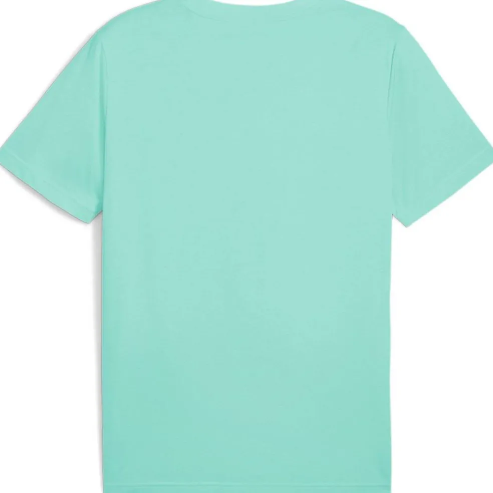 Men's Regular Fit T-Shirt