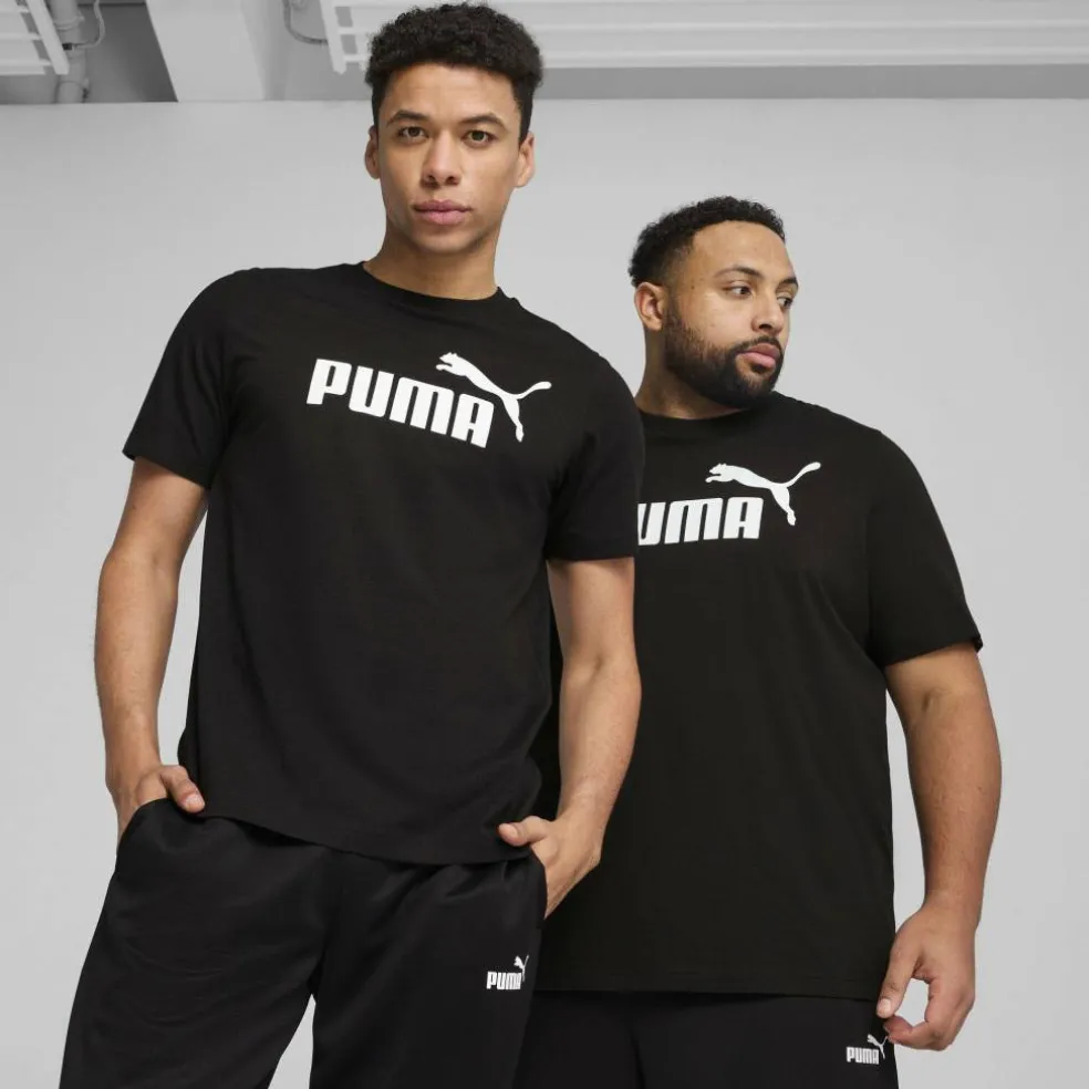 Men's Regular Fit T-Shirt