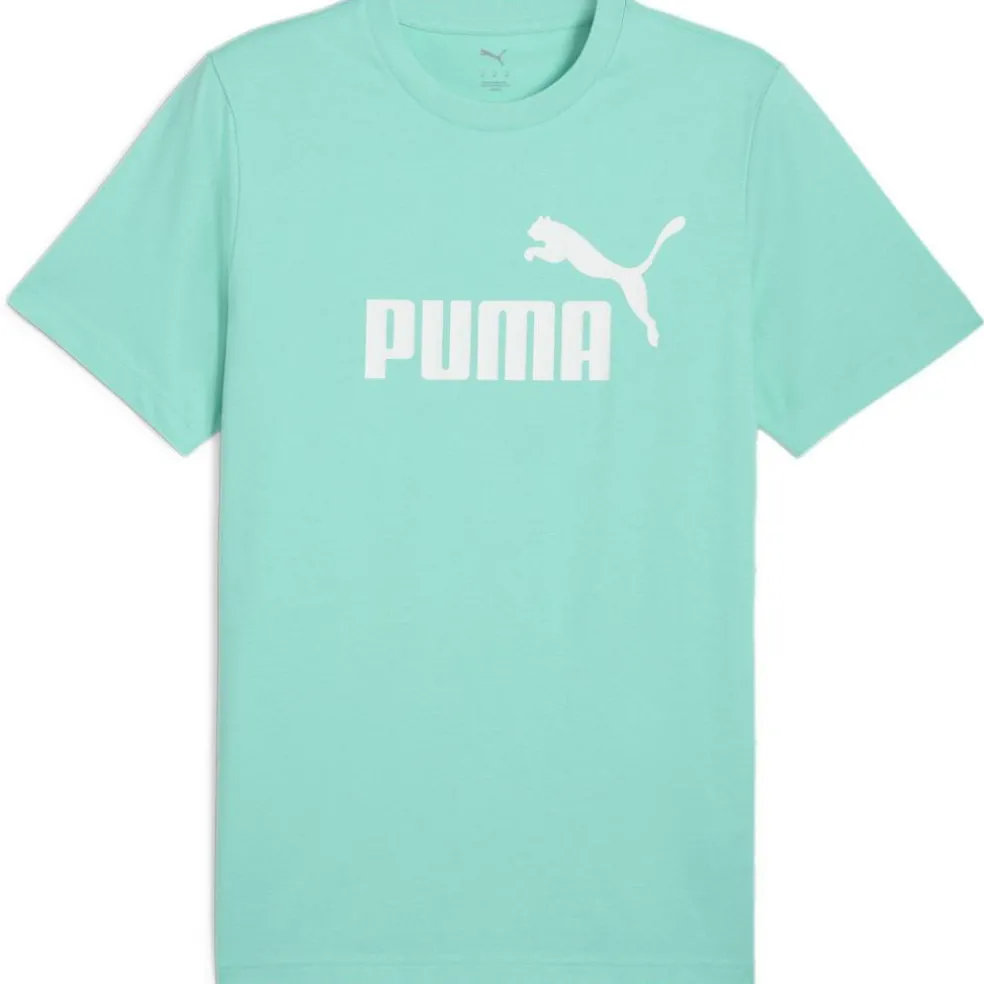 Men's Regular Fit T-Shirt