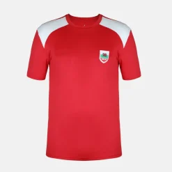 Mens Wales Short Sleeve T-Shirt