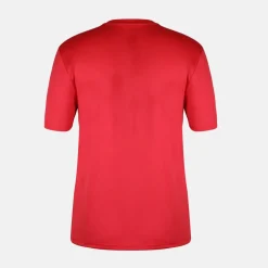 Mens Wales Short Sleeve T-Shirt