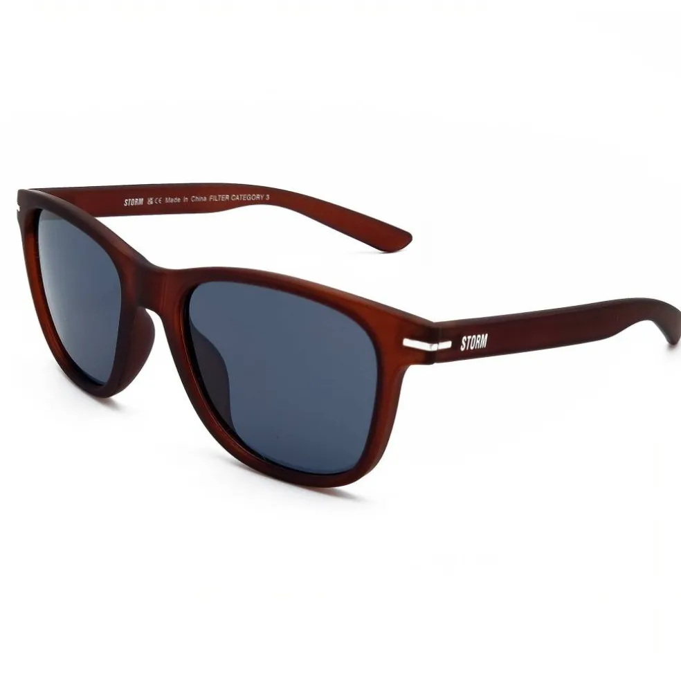 Men's Wayfarer Sunglasses