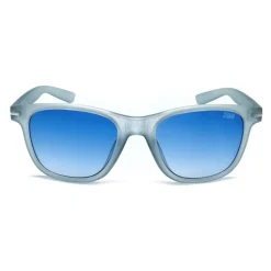Men's Wayfarer Sunglasses