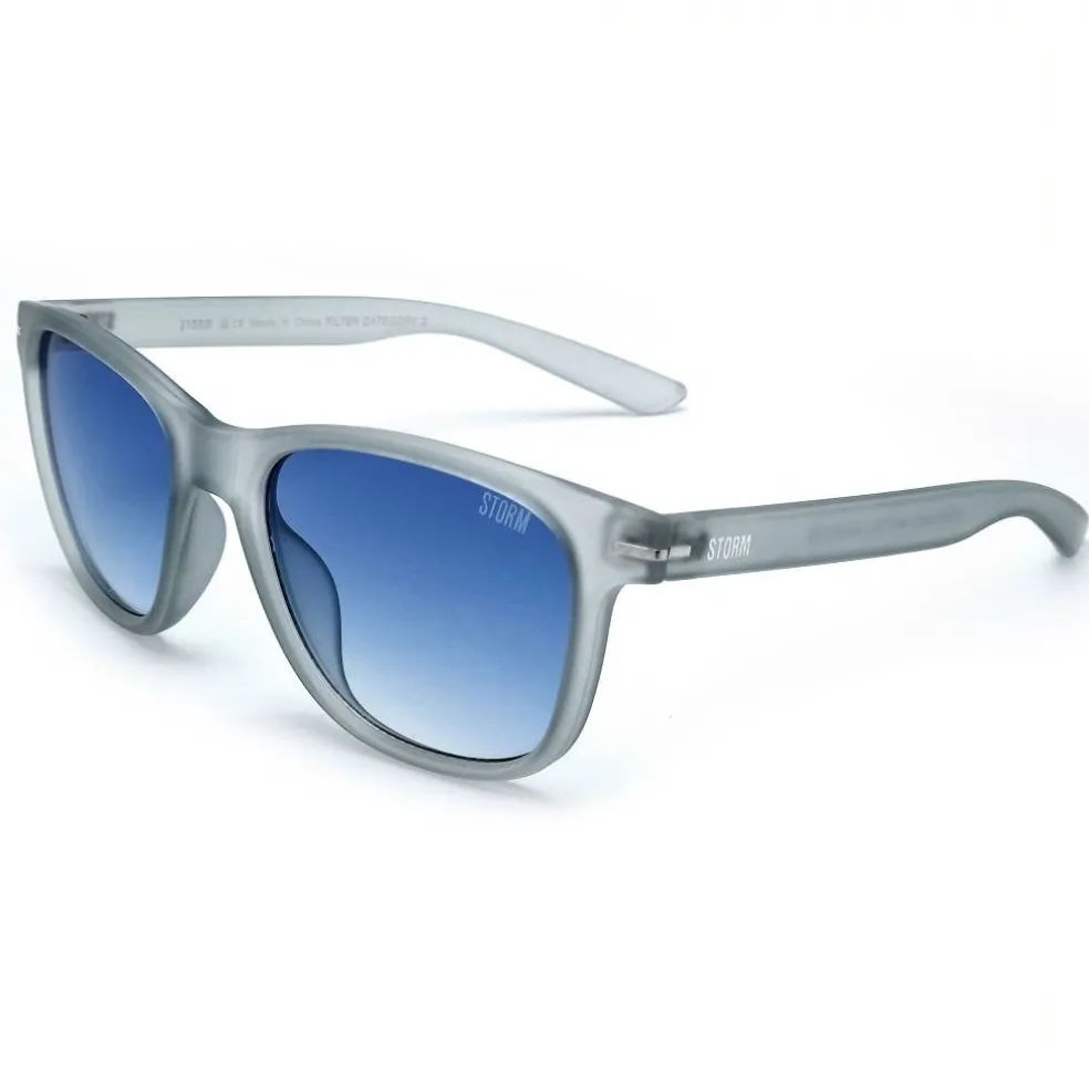 Men's Wayfarer Sunglasses