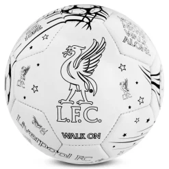 Mini Colour In Football Supporter Set