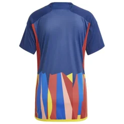 Olympique Lyon Third Shirt 2024 2025 Womens
