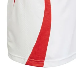 Olympique Lyonnais Home Shirt 2024 2025 Juniors
