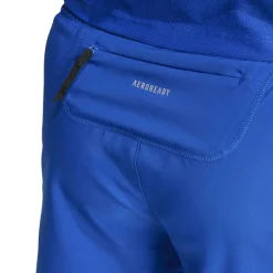 Own The Run Shorts Running Mens
