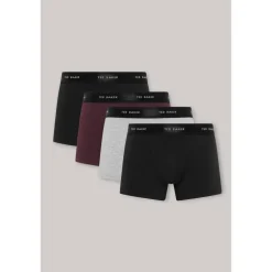 4 Pack Trunk
