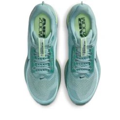 Pegasus Premium Running Shoes Mens