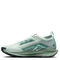 Pegasus Trail 5 GORE-TEX Running Shoes Mens