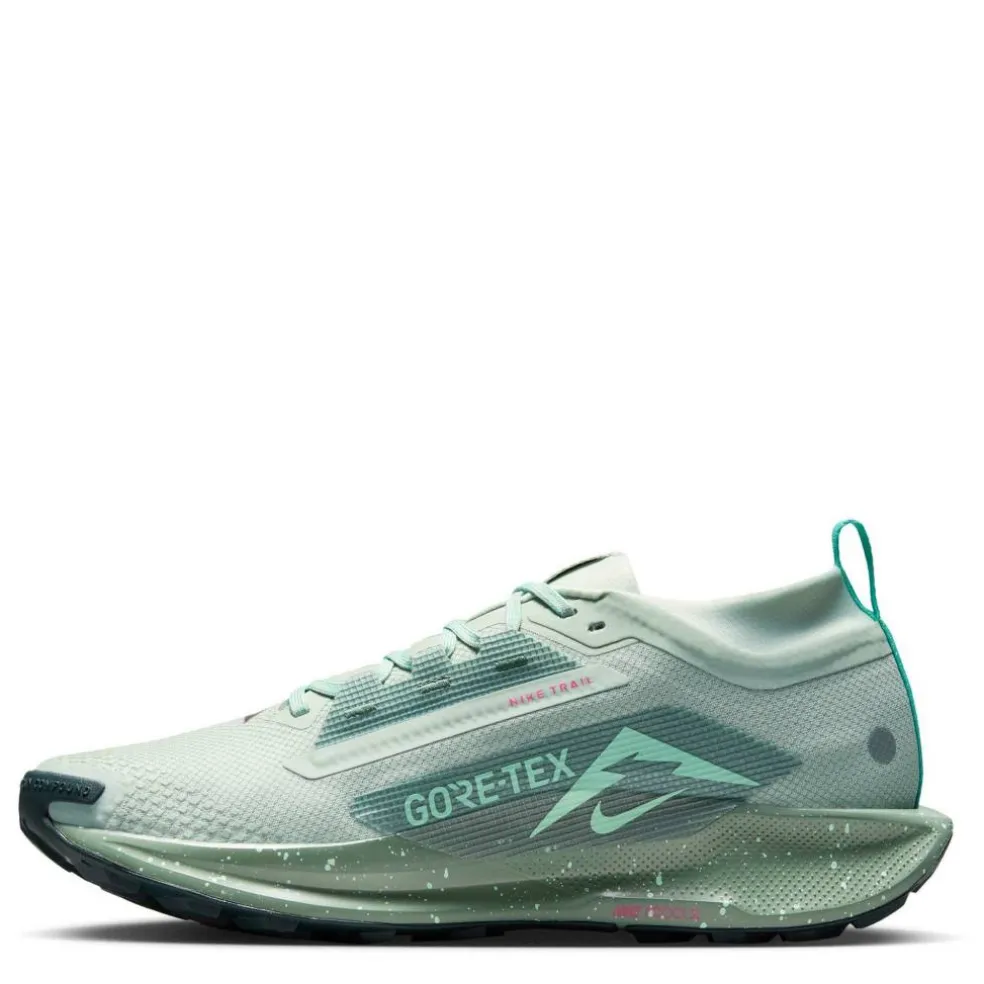 Pegasus Trail 5 GORE-TEX Running Shoes Mens