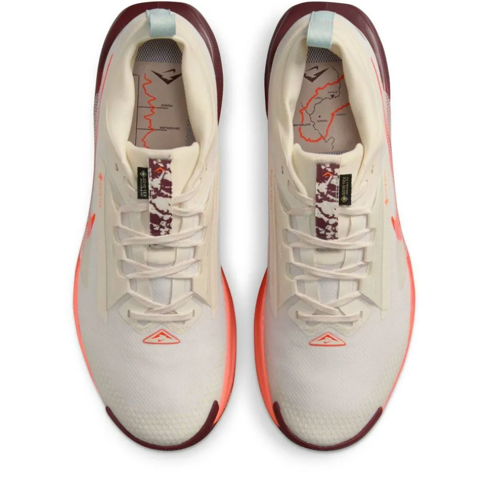 Pegasus Trail 5 GORE-TEX Running Shoes Mens
