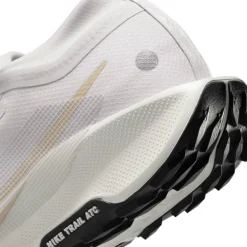 Pegasus Trail 5 GORE-TEX Running Shoes Mens