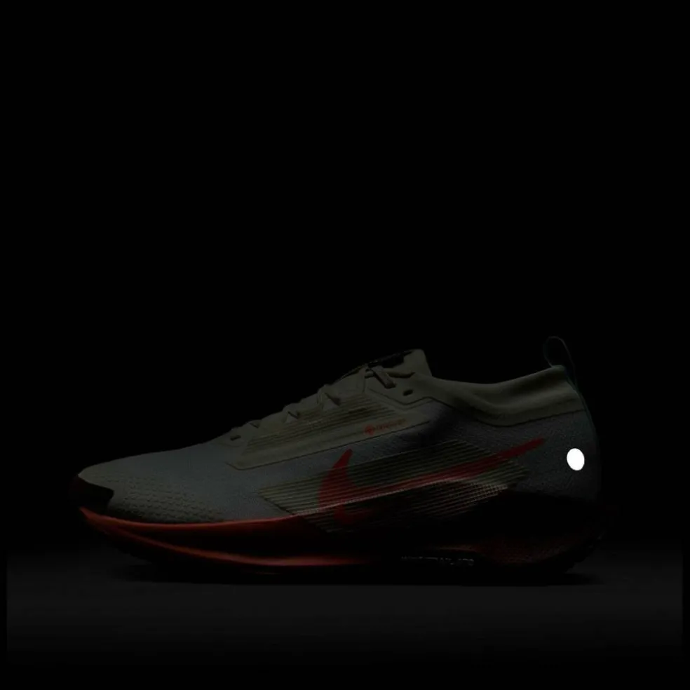 Pegasus Trail 5 GORE-TEX Running Shoes Mens